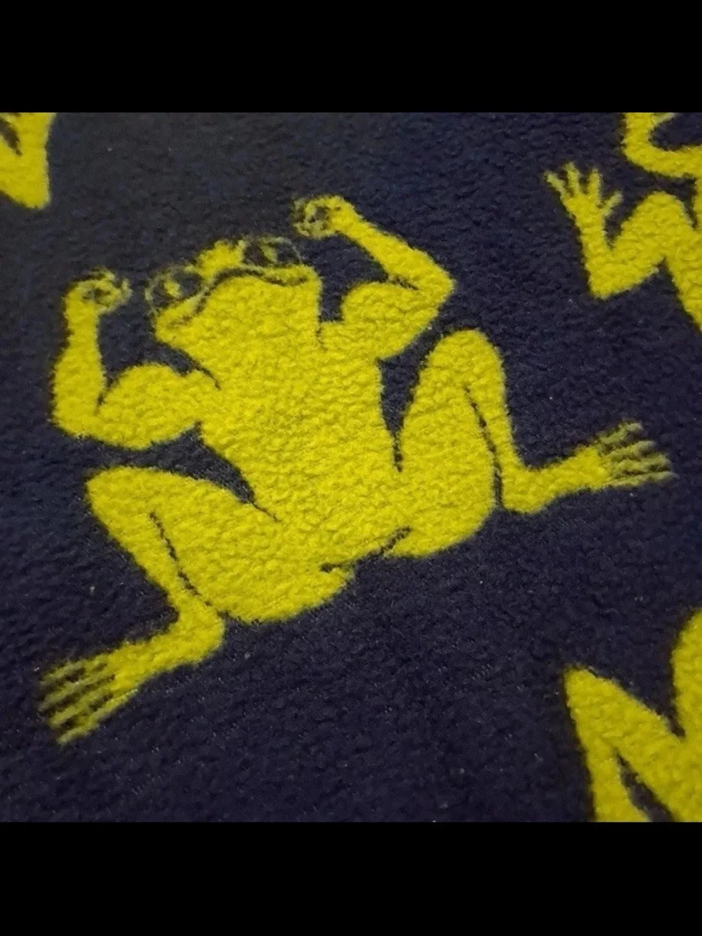 Vintage Biederlack Frogs Blanket Blue Green Throw Reversible Acrylic Germany